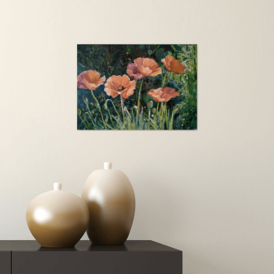 Poppies