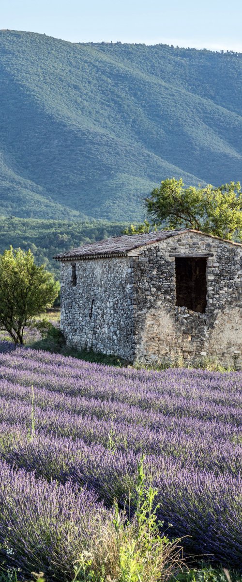 THE ABANDONED FARMHOUSE by Fabio Accorrà