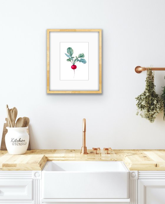 Radish. Original watercolour artwork.