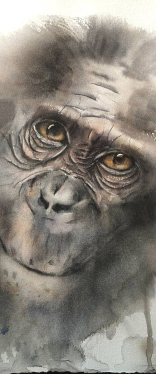 Monkey portrait by Olga Tchefranov (Shefranov)