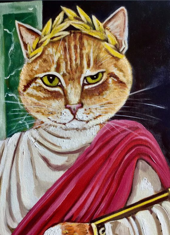 Caesar. Feline  look .