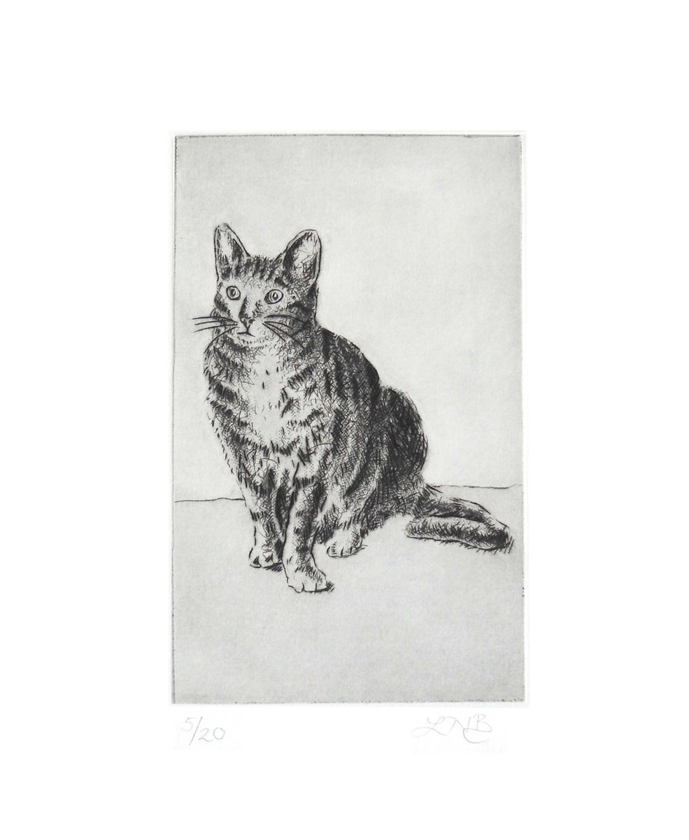 Tabby Cat by Louise Boulton