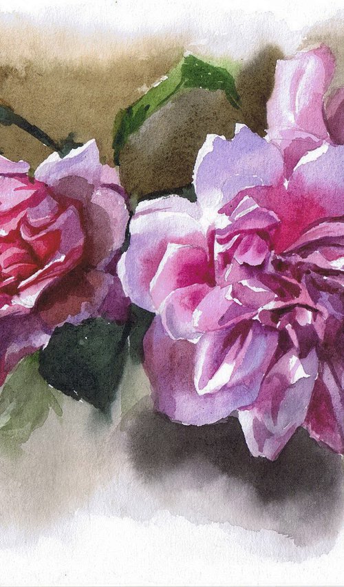 Watercolor pink peonies by Marta Nyrkova