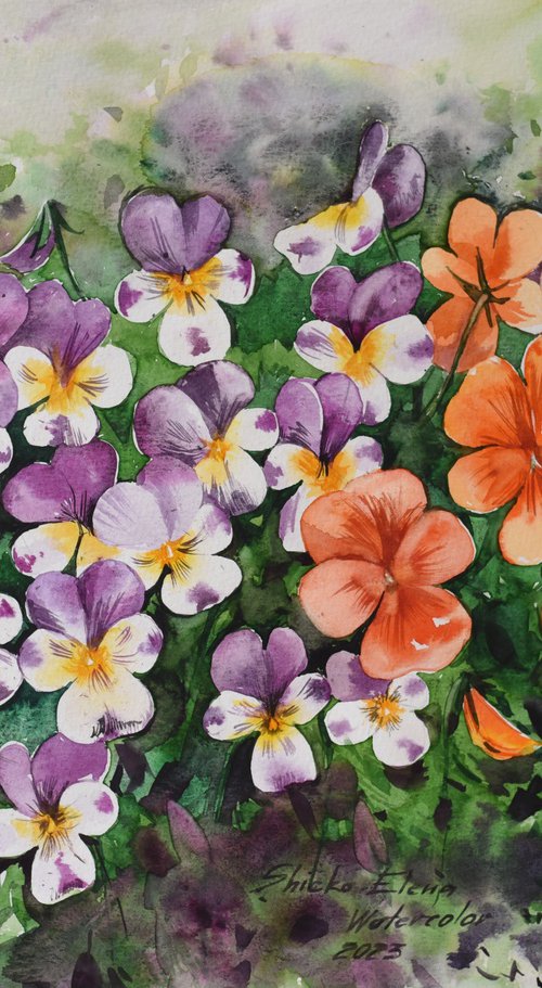 Pansies by Elena Shichko