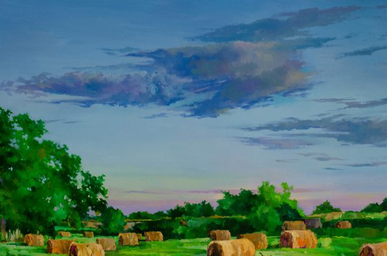 A Cat Among the Hay Bales