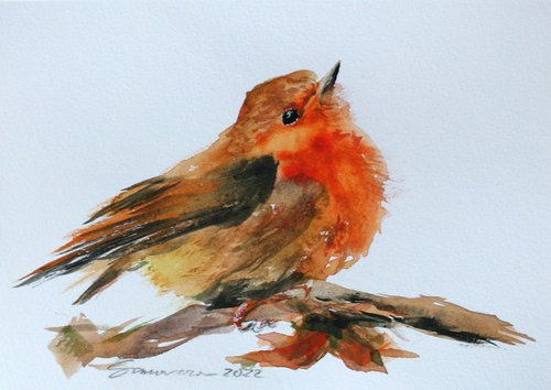 Robin I / FROM THE ANIMAL PORTRAITS SERIES / ORIGINAL WATERCOLOR PAINTING by Salana Art Gallery