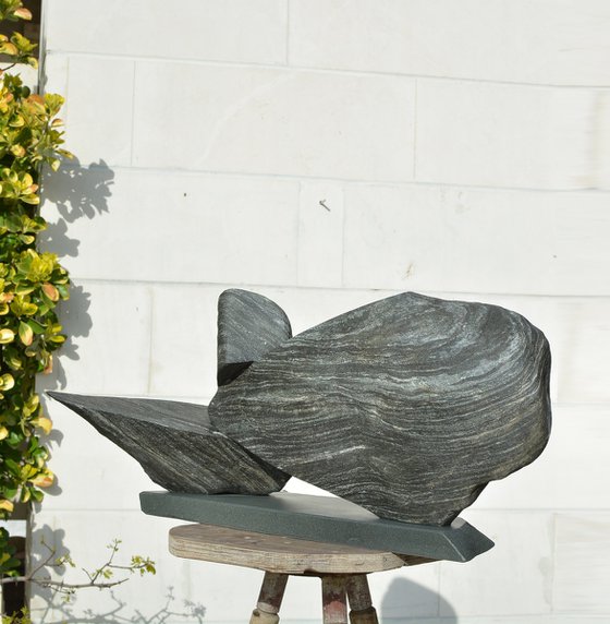 "Particular Insight"