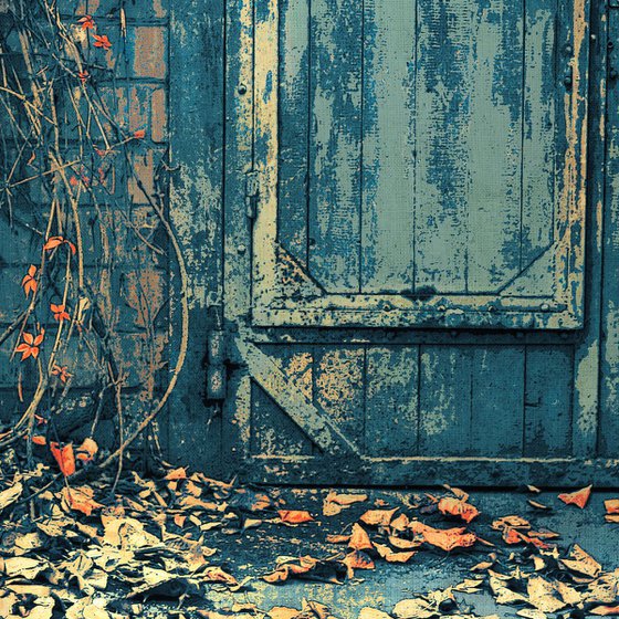 Cellar door. Autumn on the threshold.