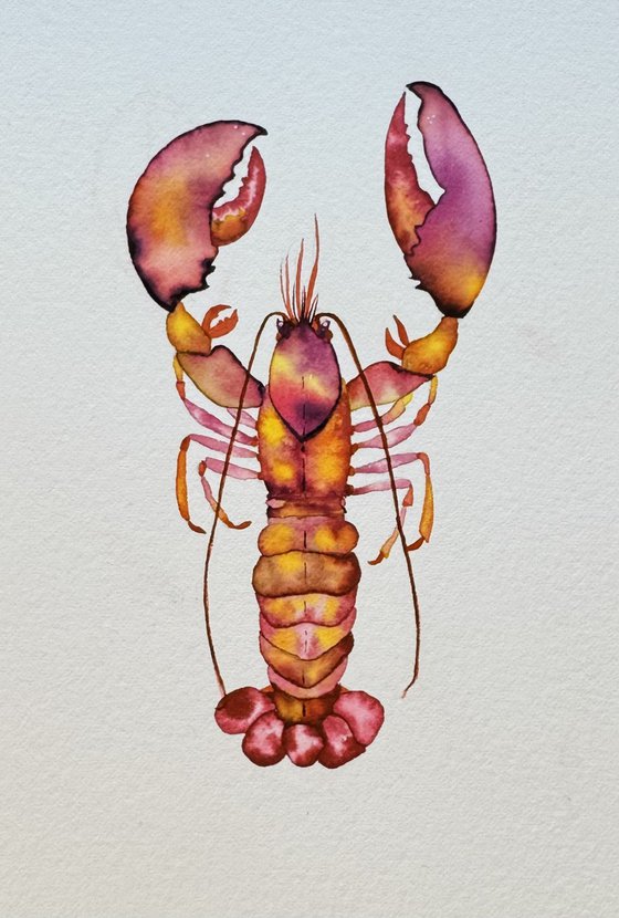 Original Watercolour Lobster