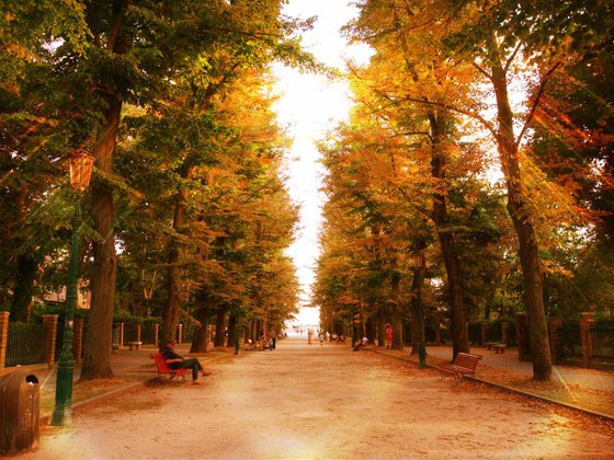 Venice in Italy - 60x80x4cm print on canvas 02522m5 READY to HANG