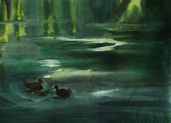 Evening pond