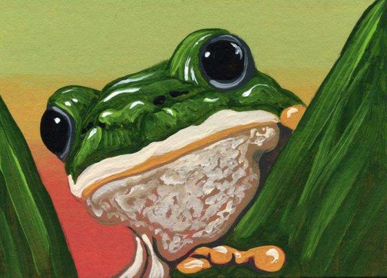 ACEO ATC Original Miniature Painting Green Frog Wildlife Art-Carla Smale