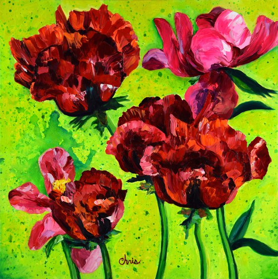 "Beauty of Livermere" Red Poppies