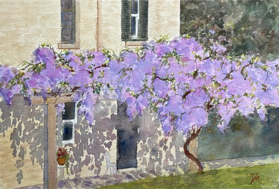 House with wisteria