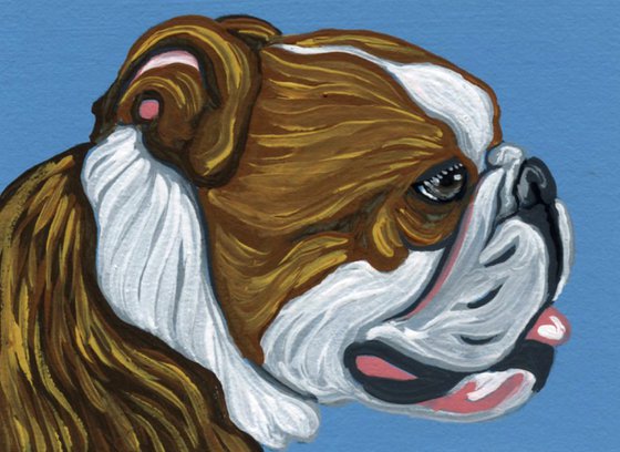 ACEO ATC Original Miniature Painting English Bulldog Pet Dog Art-Carla Smale