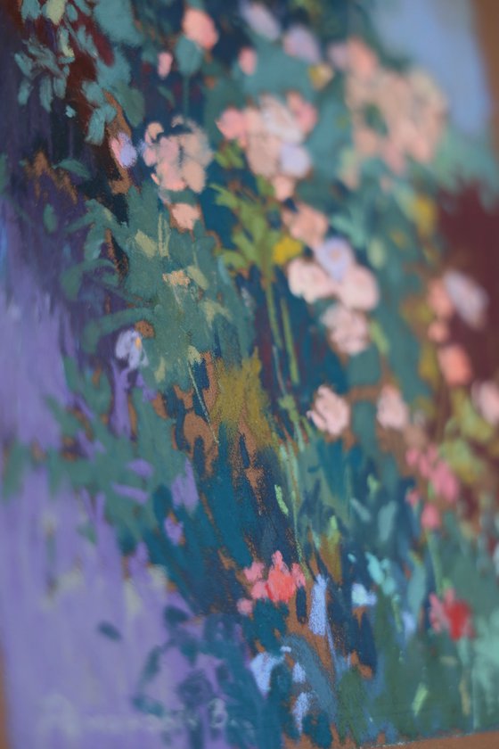 Roses in aragonese Pyrenees