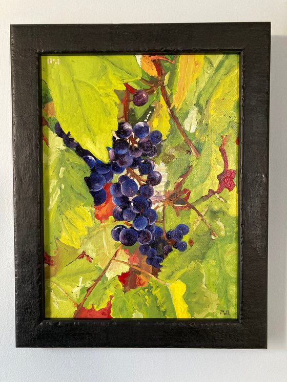 Grapes and leaves