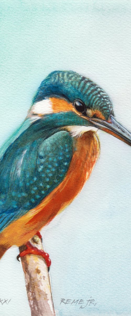 BIRD CXCV - Kingfisher by REME Jr.