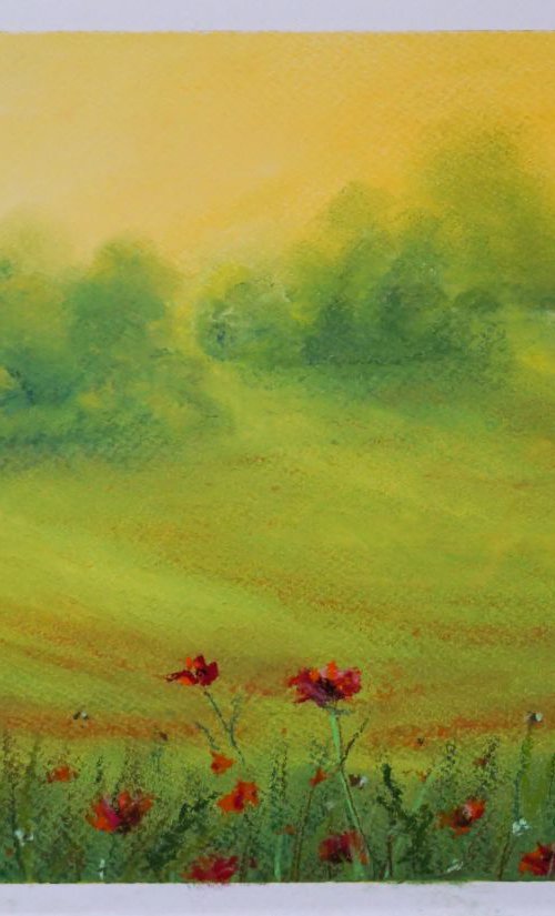 Warm summer sun by Yulia Schuster