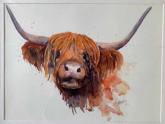 Highland Cow Watercolour