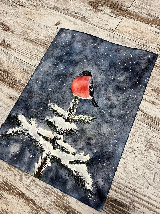 Winter Bullfinch on a Snowy Fir