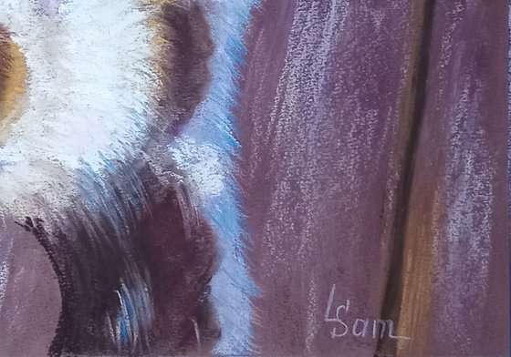 Playful Kittens on the Fence