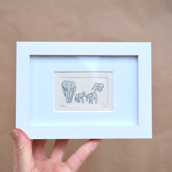 Small framed elephant and three young