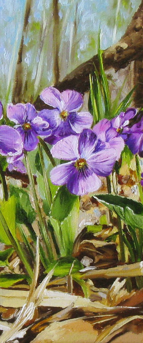 Spring Violets on Forest Floor by Natalia Shaykina