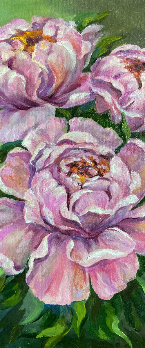 Whisper of Peonies by Galyna Shevchencko