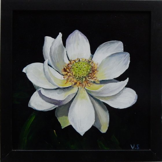 Magnolia flower. (2) framed painting.