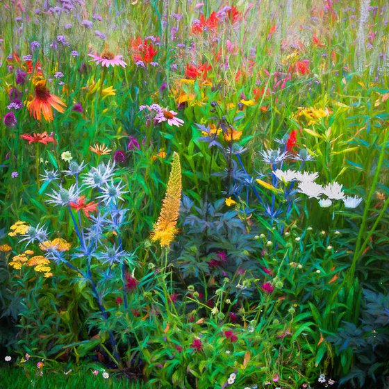 Floral Border