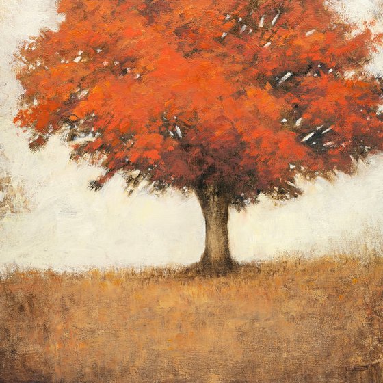 Red Maple Tree 260302