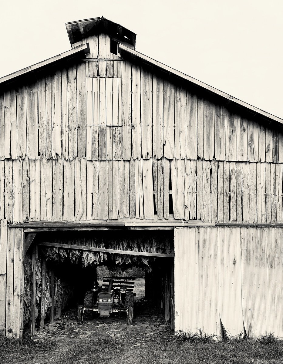 Photorealistic Landscape Photograph By Robert Tolchin, 16 X 20", America (#75), Original Artwork