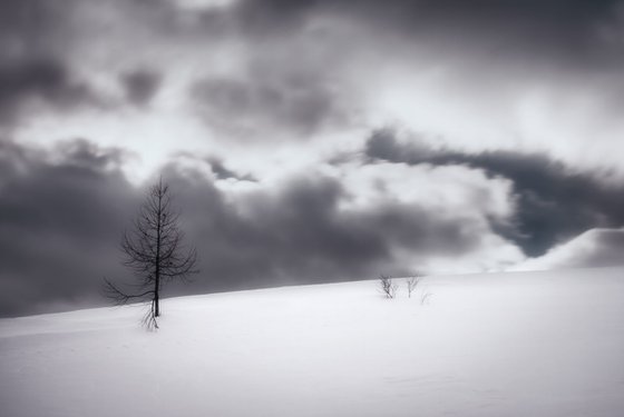 White Italian Scape #12