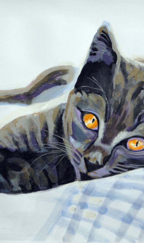 Cat # 1AP /  58 × 39 cm by Alexandra Djokic