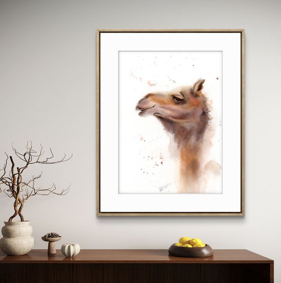 Camel