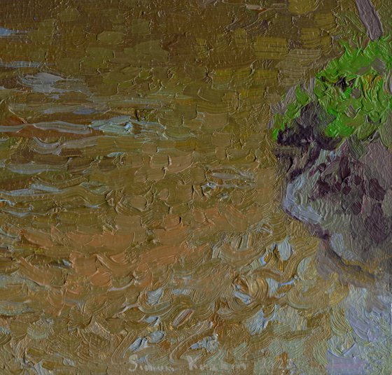 The Ponomarka River in April