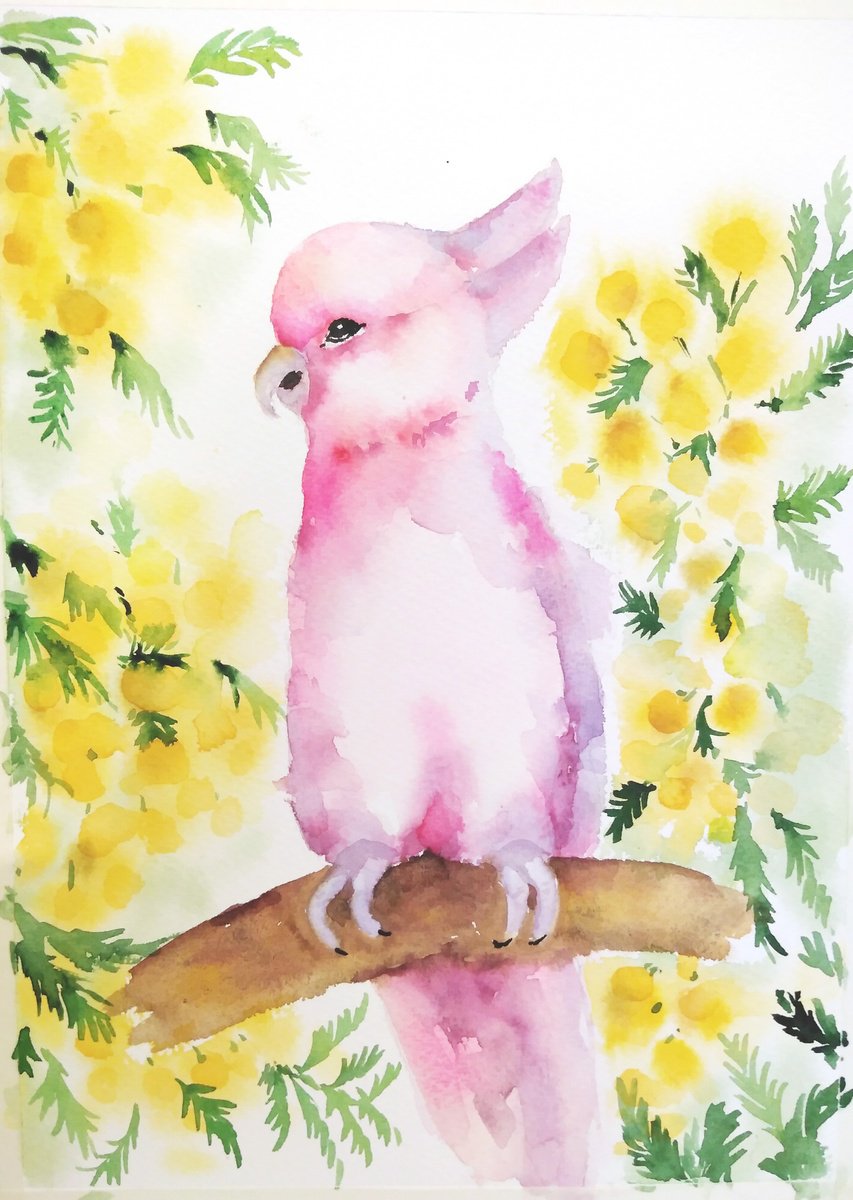 Pink parrots cockatoo bird artwork, watercolor illustration by Tanya Amos