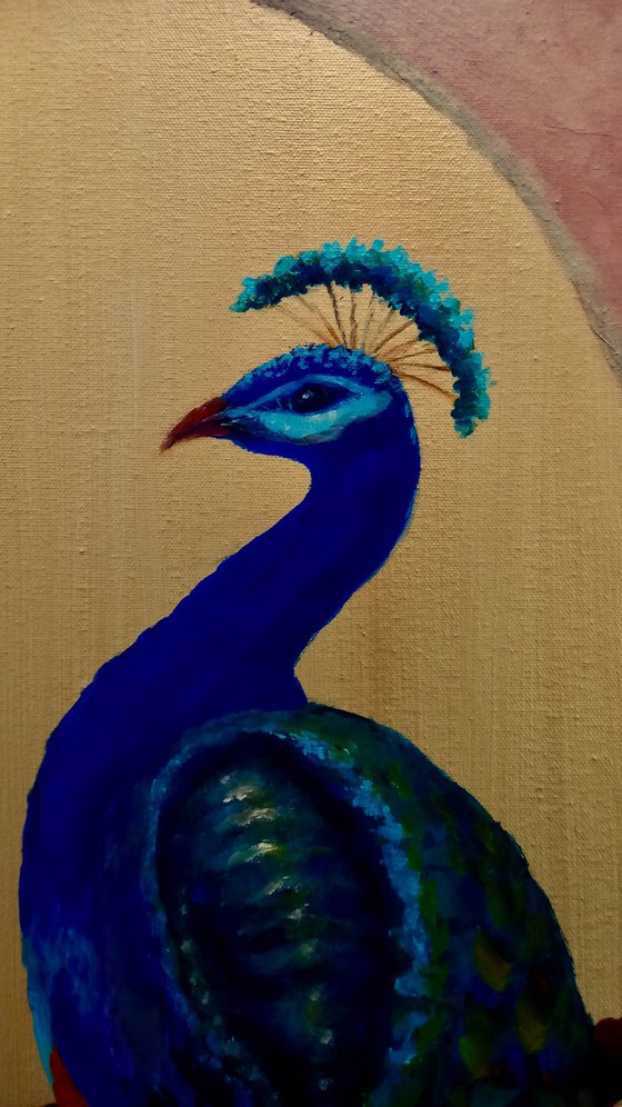 Two Peacocks