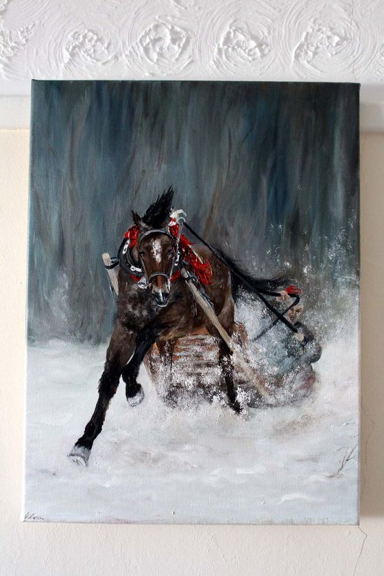 The horse with sleigh in the snow