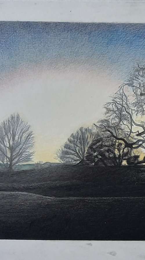 Dusk by Lisa Punter