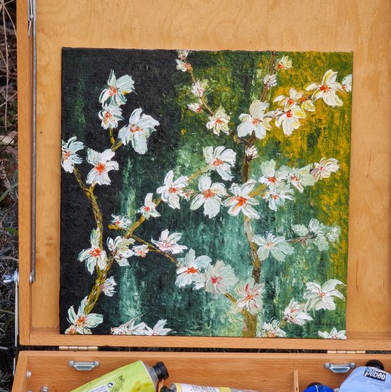 Cherries in bloom