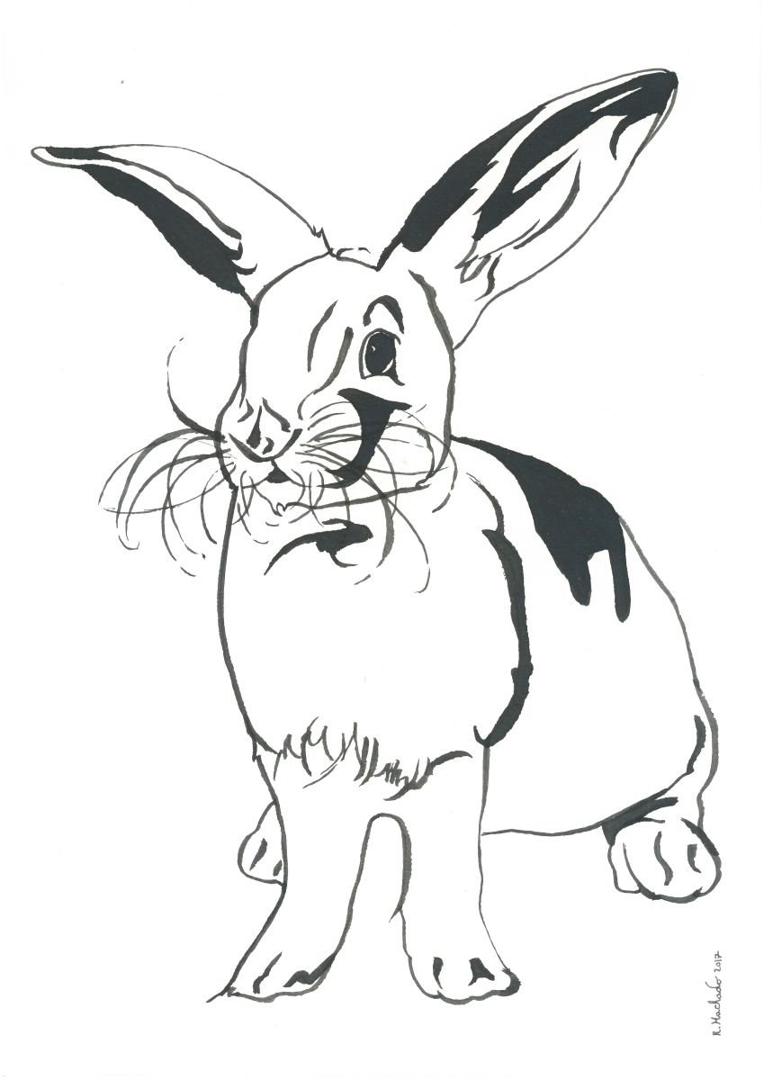 Rabbit I Animal Drawing by Ricardo Machado