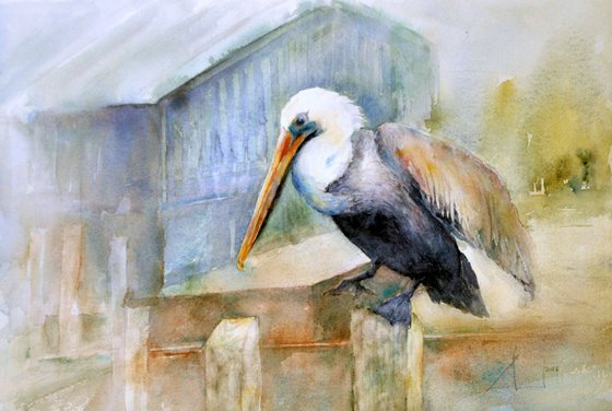 BROWN PELICAN original watercolour 46x32