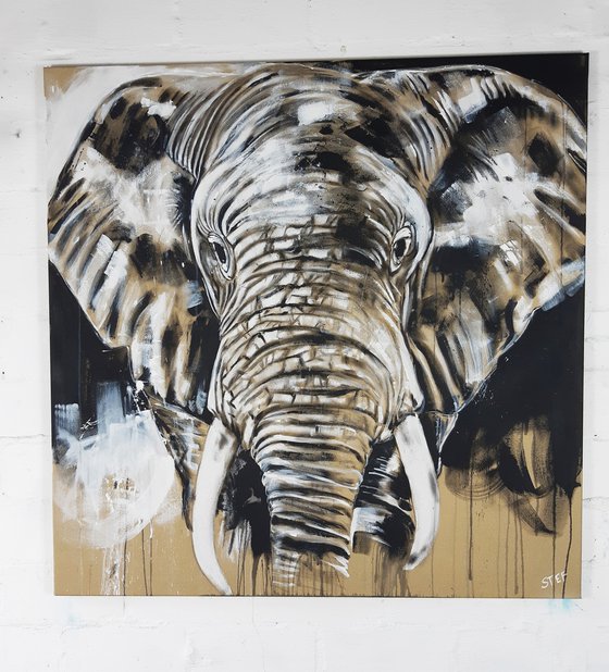 ELEPHANT #14 - Series 'One of the big five'