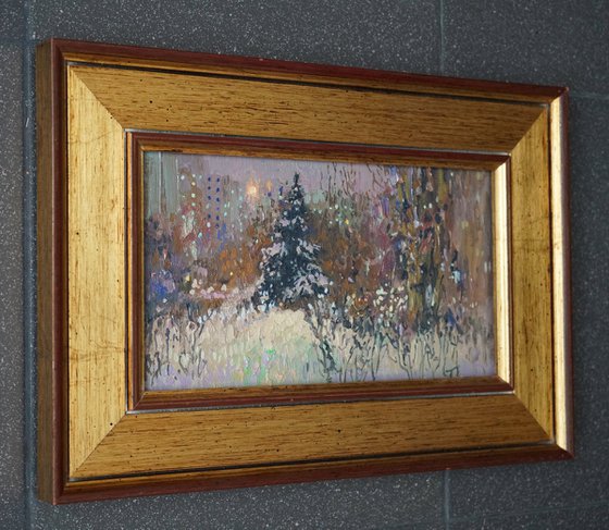 A spruce on a winter boulevard at night