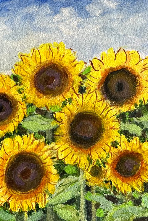 Sunflowers by Amita Dand