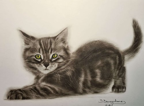 Oil painting reasilm realistic on paper cat ,, Kitten,, by Deimante Bruzguliene