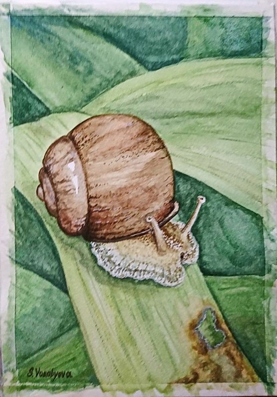 Snail