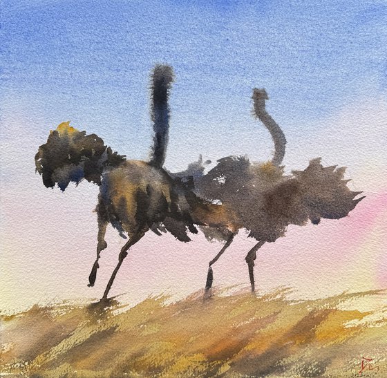 Dancing ostriches